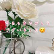 ヒメ日記 2025/10/09 22:45 投稿 浅野 HERMINE-エルミネ-