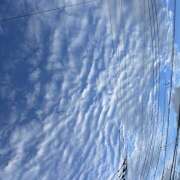 ヒメ日記 2025/10/19 08:30 投稿 浅野 HERMINE-エルミネ-