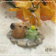 ヒメ日記 2025/10/20 18:51 投稿 浅野 HERMINE-エルミネ-