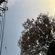 ヒメ日記 2025/11/16 07:19 投稿 浅野 HERMINE-エルミネ-