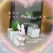 ヒメ日記 2025/11/18 09:56 投稿 浅野 HERMINE-エルミネ-