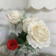 ヒメ日記 2025/11/18 23:00 投稿 浅野 HERMINE-エルミネ-