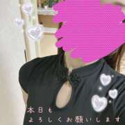 ヒメ日記 2025/11/30 09:56 投稿 浅野 HERMINE-エルミネ-