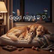 ヒメ日記 2025/12/07 22:49 投稿 浅野 HERMINE-エルミネ-