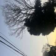 ヒメ日記 2025/12/09 08:23 投稿 浅野 HERMINE-エルミネ-