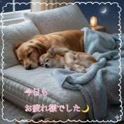 ヒメ日記 2025/12/09 22:50 投稿 浅野 HERMINE-エルミネ-