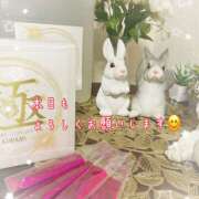 ヒメ日記 2025/12/21 09:49 投稿 浅野 HERMINE-エルミネ-