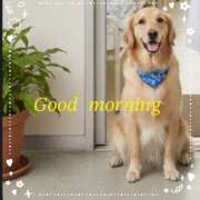 ヒメ日記 2025/12/22 07:46 投稿 浅野 HERMINE-エルミネ-