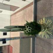 ヒメ日記 2025/12/28 23:02 投稿 浅野 HERMINE-エルミネ-