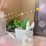 ヒメ日記 2025/12/29 10:58 投稿 浅野 HERMINE-エルミネ-