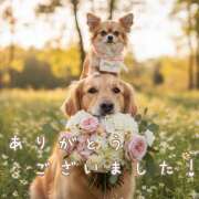 ヒメ日記 2025/12/30 21:23 投稿 浅野 HERMINE-エルミネ-