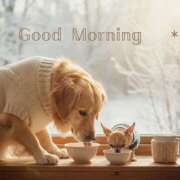 ヒメ日記 2026/01/06 07:34 投稿 浅野 HERMINE-エルミネ-