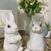 ヒメ日記 2026/01/12 10:55 投稿 浅野 HERMINE-エルミネ-