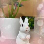 ヒメ日記 2026/01/13 09:40 投稿 浅野 HERMINE-エルミネ-