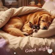 ヒメ日記 2026/01/13 23:40 投稿 浅野 HERMINE-エルミネ-