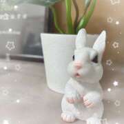 ヒメ日記 2026/01/18 11:44 投稿 浅野 HERMINE-エルミネ-