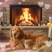 ヒメ日記 2026/01/21 08:30 投稿 浅野 HERMINE-エルミネ-