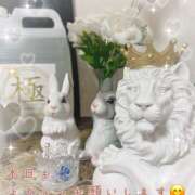 ヒメ日記 2026/01/23 09:43 投稿 浅野 HERMINE-エルミネ-