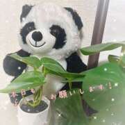 ヒメ日記 2026/01/26 11:01 投稿 浅野 HERMINE-エルミネ-