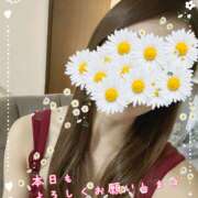 ヒメ日記 2026/01/29 09:49 投稿 浅野 HERMINE-エルミネ-