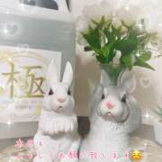 ヒメ日記 2026/02/01 09:27 投稿 浅野 HERMINE-エルミネ-