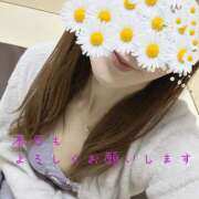 ヒメ日記 2026/02/08 10:05 投稿 浅野 HERMINE-エルミネ-