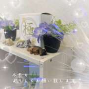 ヒメ日記 2026/02/20 10:54 投稿 浅野 HERMINE-エルミネ-