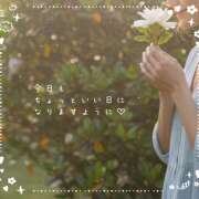 ヒメ日記 2026/02/21 08:28 投稿 浅野 HERMINE-エルミネ-