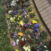 ヒメ日記 2026/02/23 20:29 投稿 浅野 HERMINE-エルミネ-