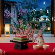 ヒメ日記 2026/03/03 22:29 投稿 浅野 HERMINE-エルミネ-