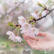 ヒメ日記 2026/03/19 08:40 投稿 浅野 HERMINE-エルミネ-