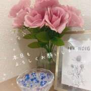 ヒメ日記 2026/03/22 09:40 投稿 浅野 HERMINE-エルミネ-