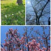 ヒメ日記 2026/03/24 17:58 投稿 浅野 HERMINE-エルミネ-