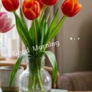 ヒメ日記 2026/03/27 07:51 投稿 浅野 HERMINE-エルミネ-