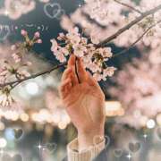 ヒメ日記 2026/03/28 20:52 投稿 浅野 HERMINE-エルミネ-