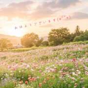 ヒメ日記 2026/03/29 07:57 投稿 浅野 HERMINE-エルミネ-