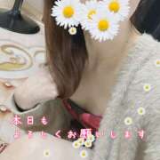 ヒメ日記 2026/03/30 10:50 投稿 浅野 HERMINE-エルミネ-