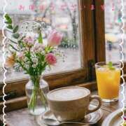 ヒメ日記 2026/04/02 08:39 投稿 浅野 HERMINE-エルミネ-