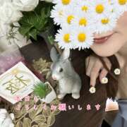 ヒメ日記 2026/04/03 10:51 投稿 浅野 HERMINE-エルミネ-