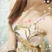 ヒメ日記 2026/04/12 09:45 投稿 浅野 HERMINE-エルミネ-