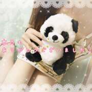 ヒメ日記 2026/04/12 22:20 投稿 浅野 HERMINE-エルミネ-