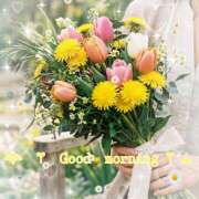 ヒメ日記 2026/04/13 10:50 投稿 浅野 HERMINE-エルミネ-