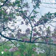 ヒメ日記 2026/04/14 14:59 投稿 浅野 HERMINE-エルミネ-