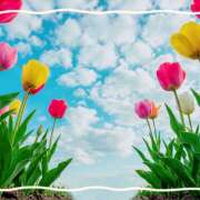 ヒメ日記 2026/04/16 14:15 投稿 浅野 HERMINE-エルミネ-