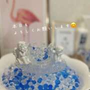 ヒメ日記 2026/04/17 11:06 投稿 浅野 HERMINE-エルミネ-