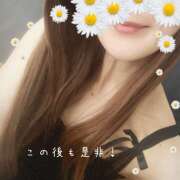 ヒメ日記 2026/04/17 14:59 投稿 浅野 HERMINE-エルミネ-