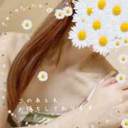 ヒメ日記 2026/04/20 16:03 投稿 浅野 HERMINE-エルミネ-