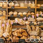 ヒメ日記 2026/04/25 08:28 投稿 浅野 HERMINE-エルミネ-