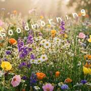 ヒメ日記 2026/04/26 07:24 投稿 浅野 HERMINE-エルミネ-