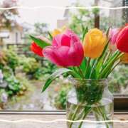 ヒメ日記 2026/04/27 11:37 投稿 浅野 HERMINE-エルミネ-